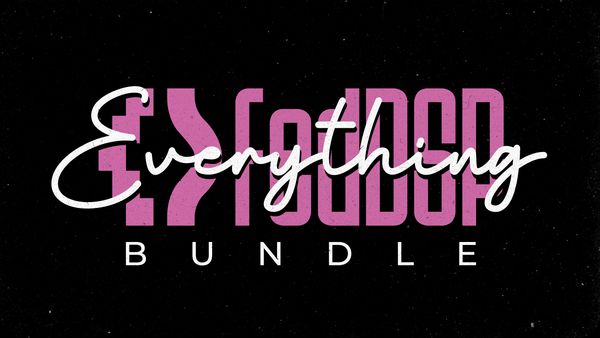 Everything Bundle